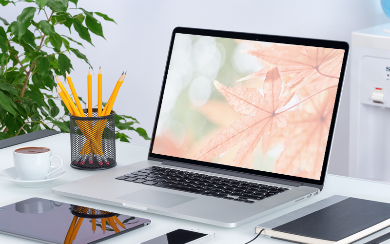 Win11后臺應用怎么禁用?Win11禁用后臺應用的技巧
