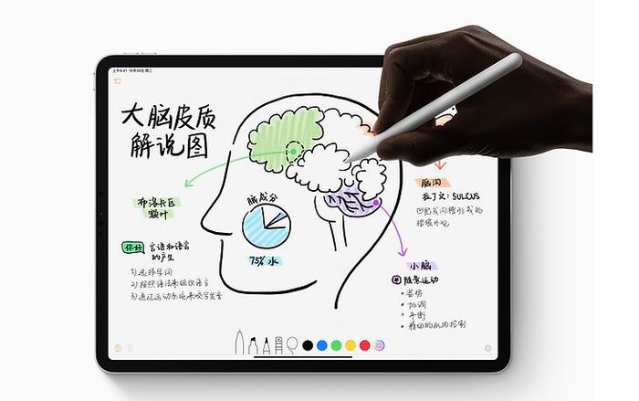 新iPad Pro發布:盤點新iPad Pro值得關注的幾個細節 新iPad Pro發布:盤點新iPad Pro值得關注的幾個細節